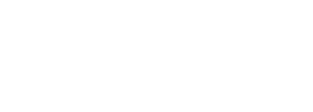 Stealth Squad