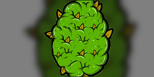 Cover image for Robin Bud