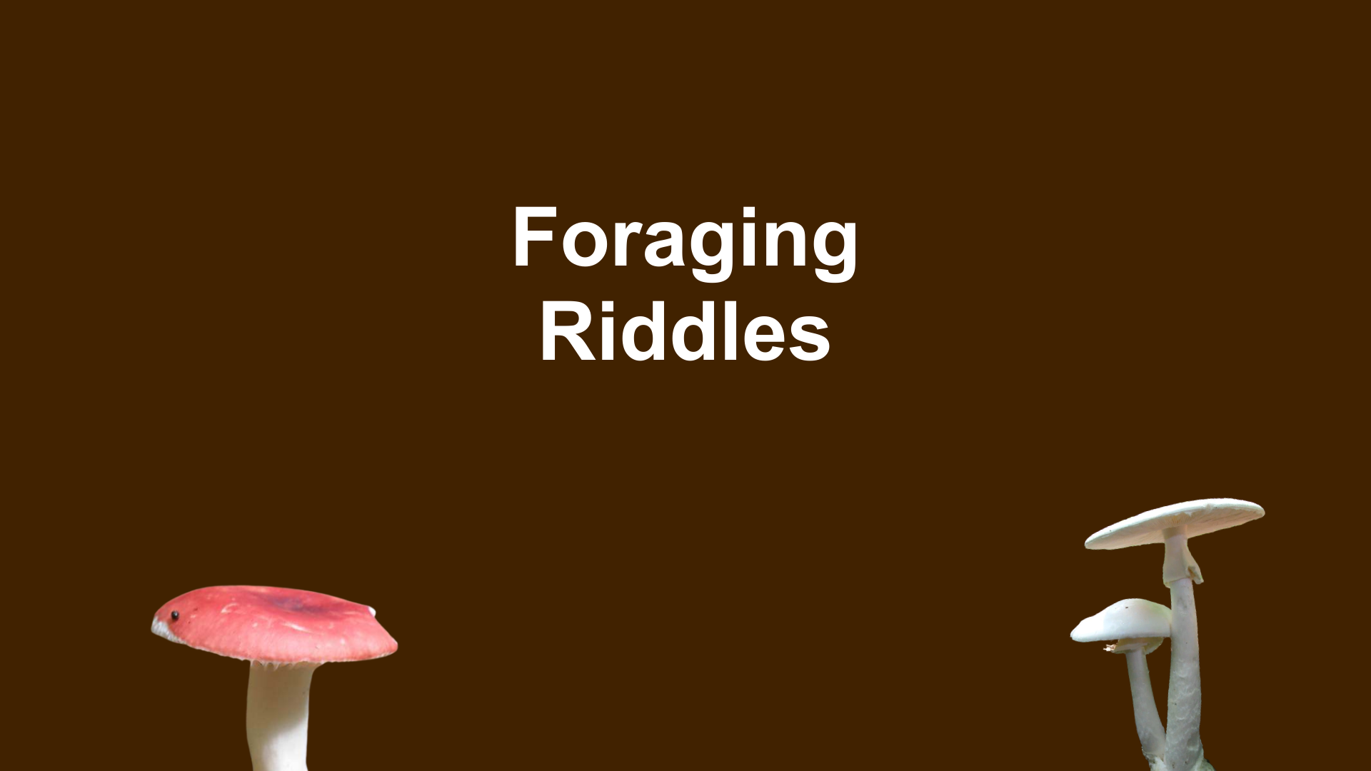 Foraging Riddles