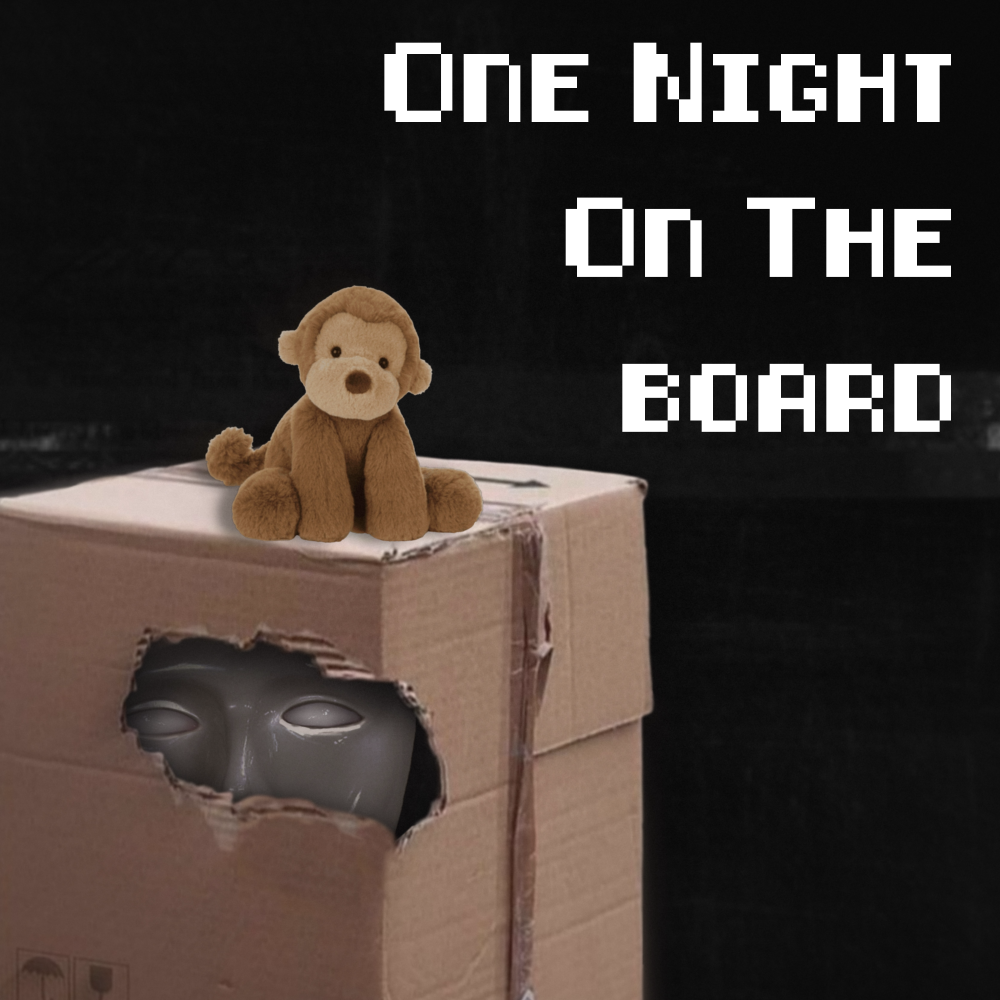 One Night On The Board