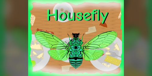 Cover image for Housefly