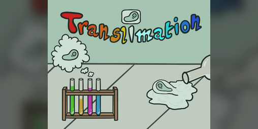 Cover image for Translimation