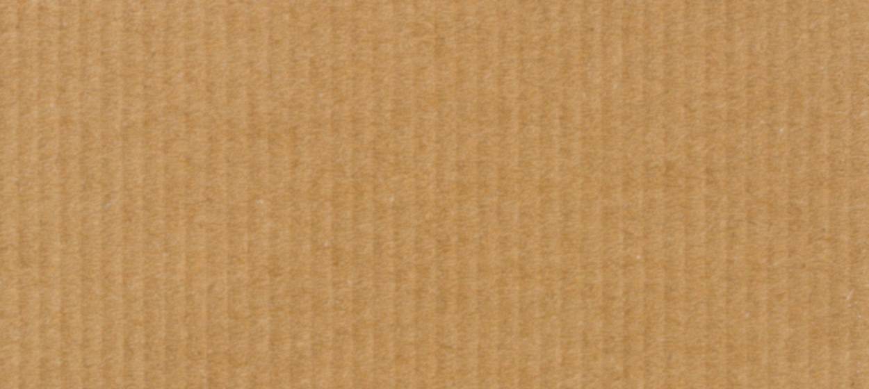 cardboard fps (test)