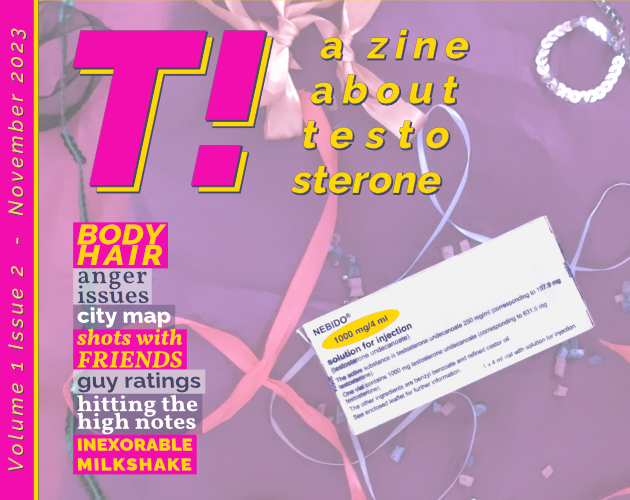 T! Volume 1 Issue 2 by T! a zine about testosterone