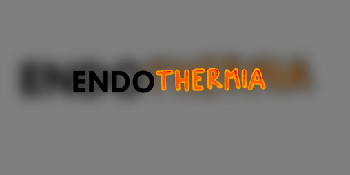 Cover image for Endothermia
