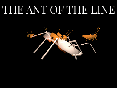 Cover image for THE ANT OF THE LINE