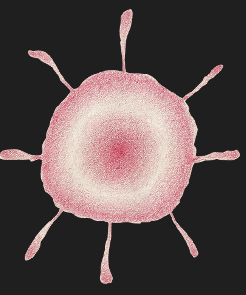 Cover image for ¡Engulle!