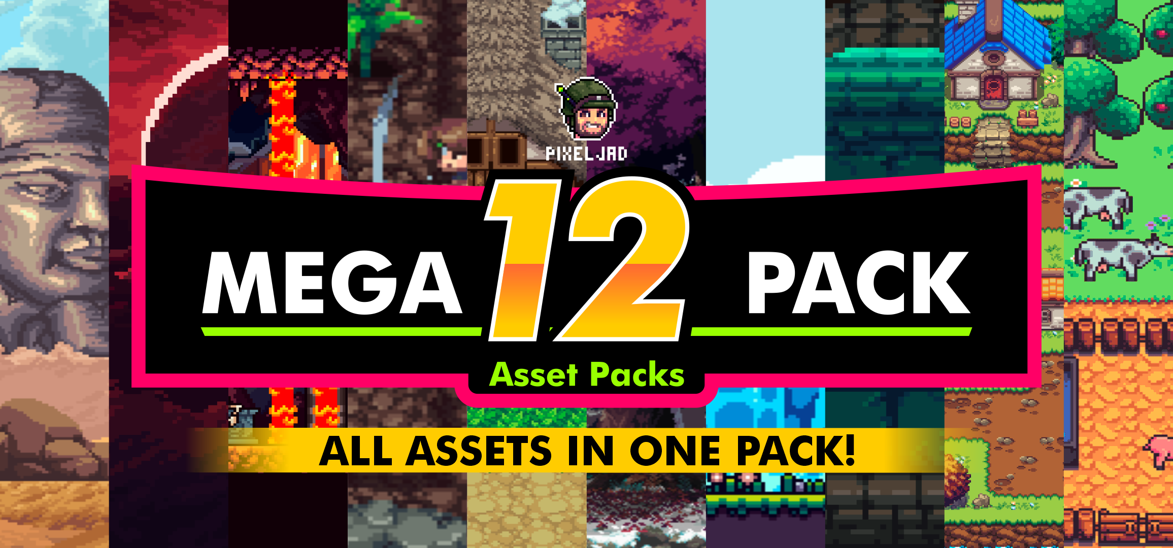 MEGA 12 PACK - (12 Complete Assets)