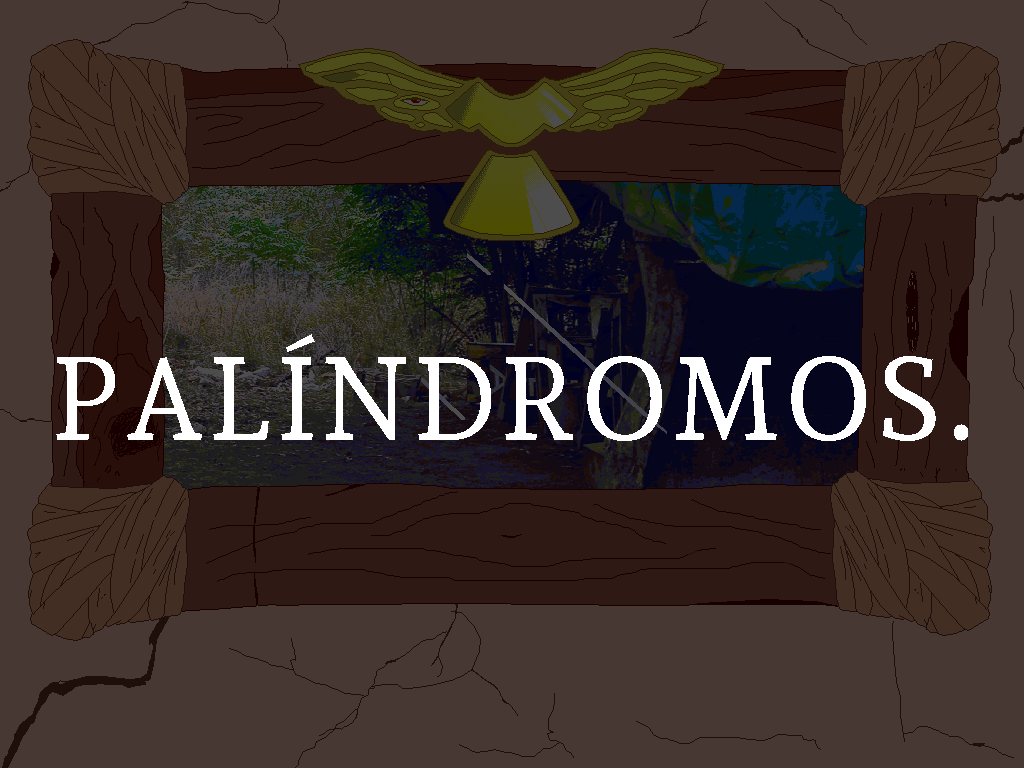 Cover image for Palíndromos