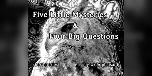 Cover image for five little mysteries and four big questions