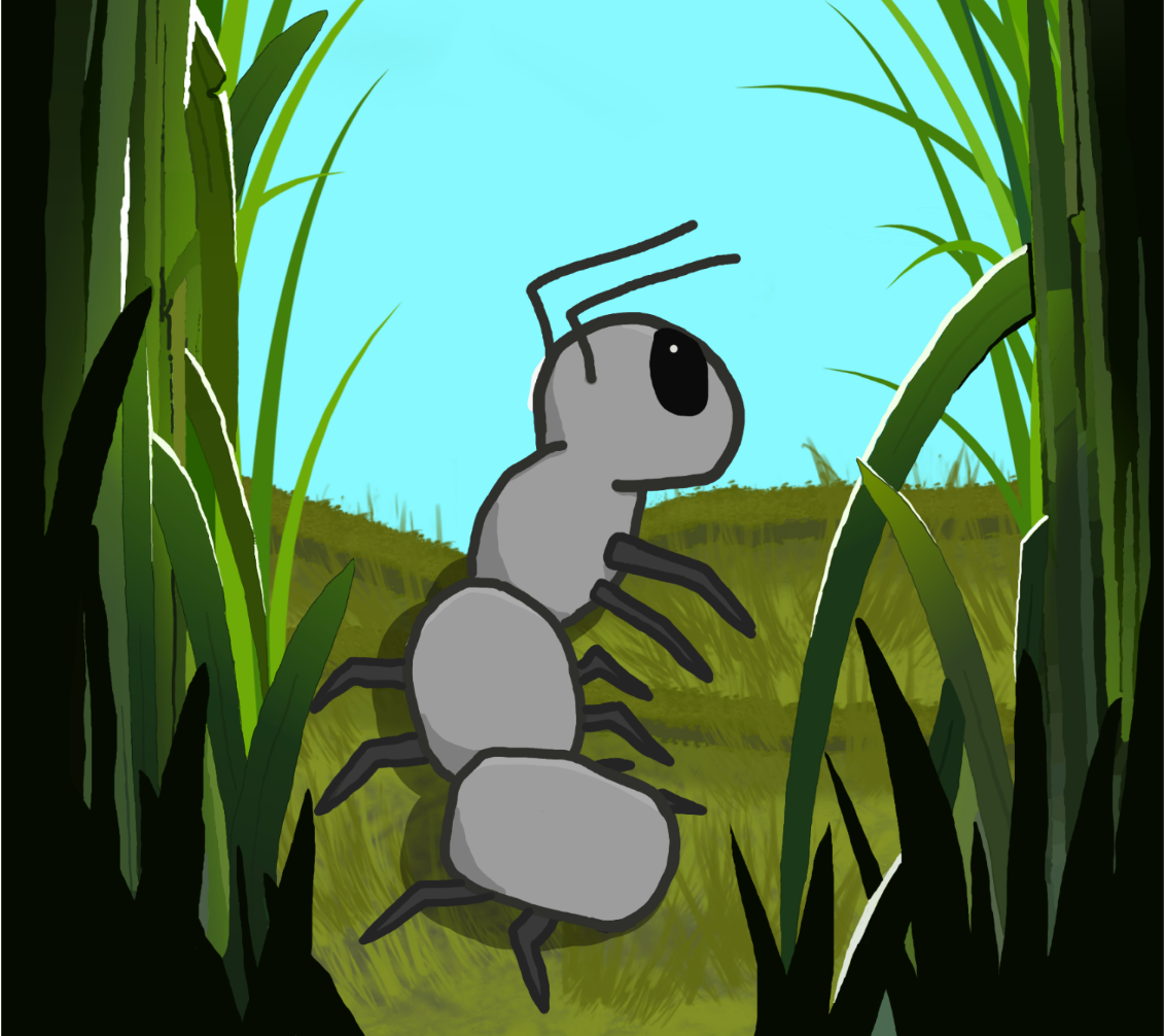 Co-op Crawl