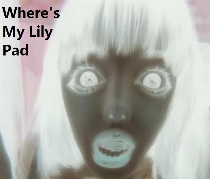 Cover image for Where's My Lily Pad