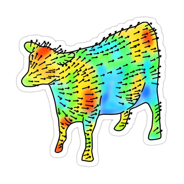 Aerodynamics of a Cow