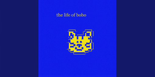 Cover image for the life of bobo