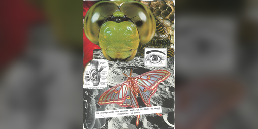 Cover image for The flies' choreography amplifies my longing for the void. (Drawing down the moon)