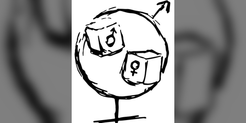 Cover image for Gender Roll