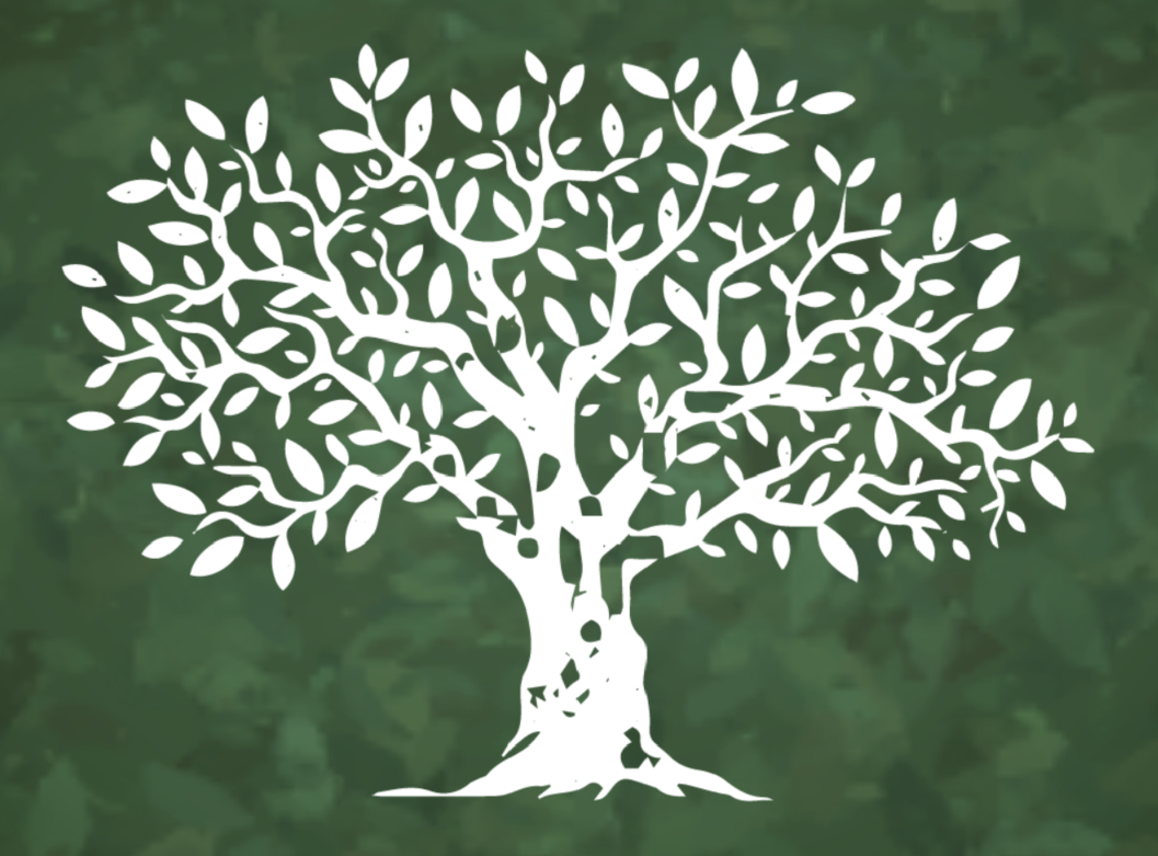 In the Shadow of an Olive Tree
