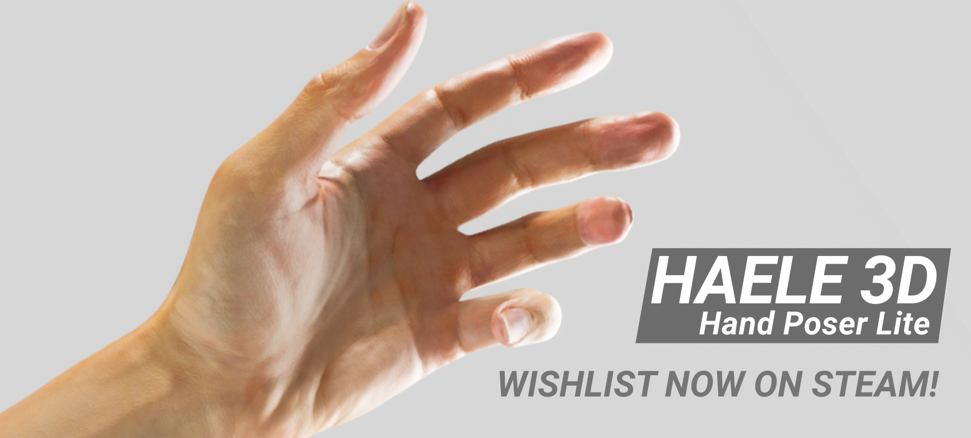 HAELE 3D - Hand Poser Lite - Demo