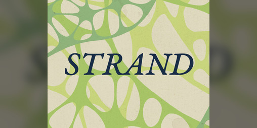Cover image for Strand