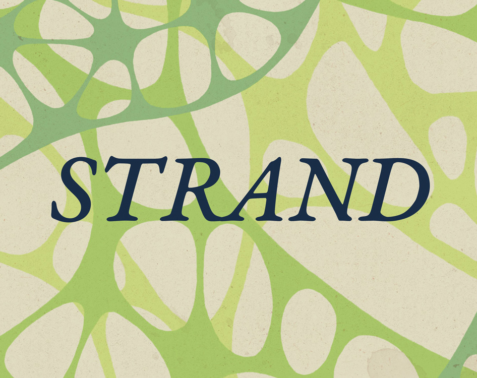 Cover image for Strand