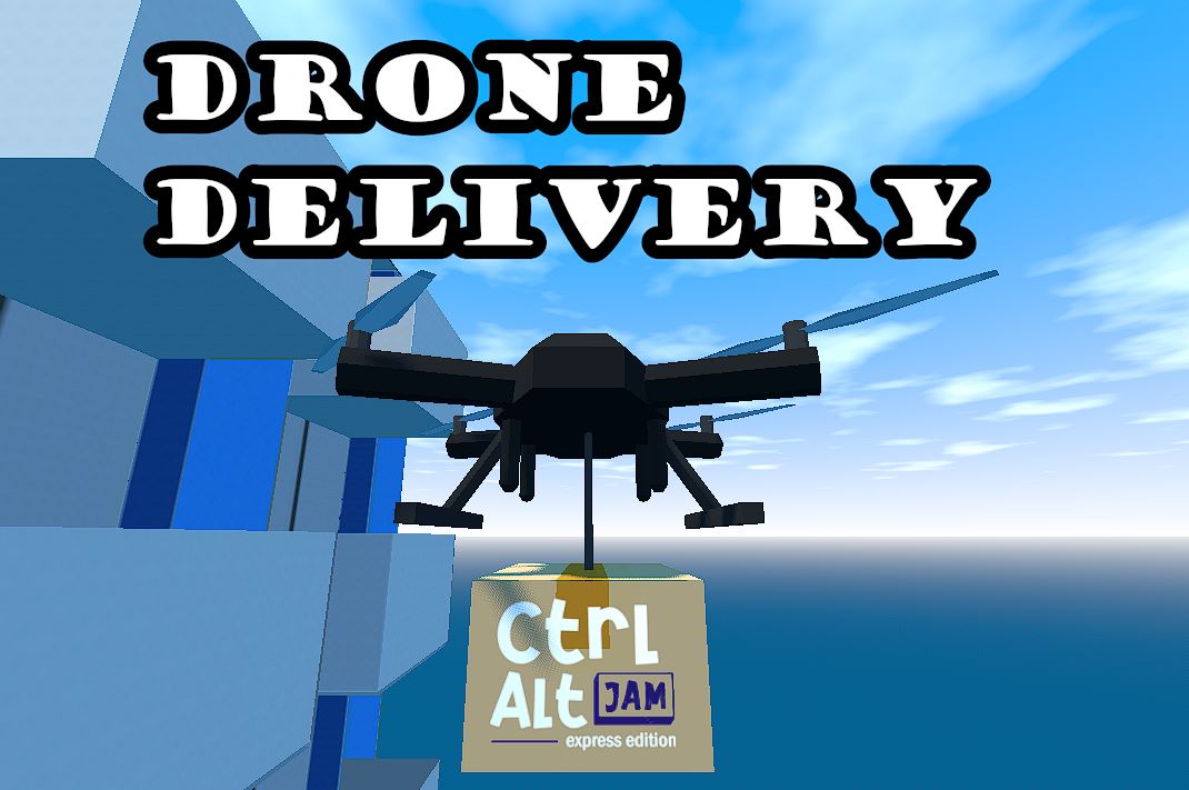 Cover image for Drone Delivery