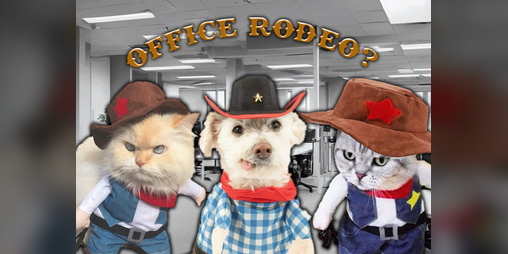 Cover image for Office Rodeo?