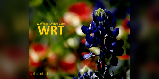 Cover image for WRT: Wellness Related Time