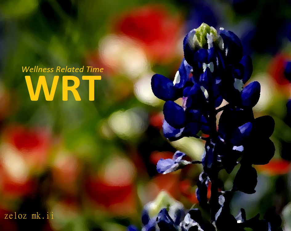 Cover image for WRT: Wellness Related Time