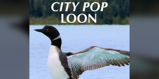 Cover image for City Pop Loon