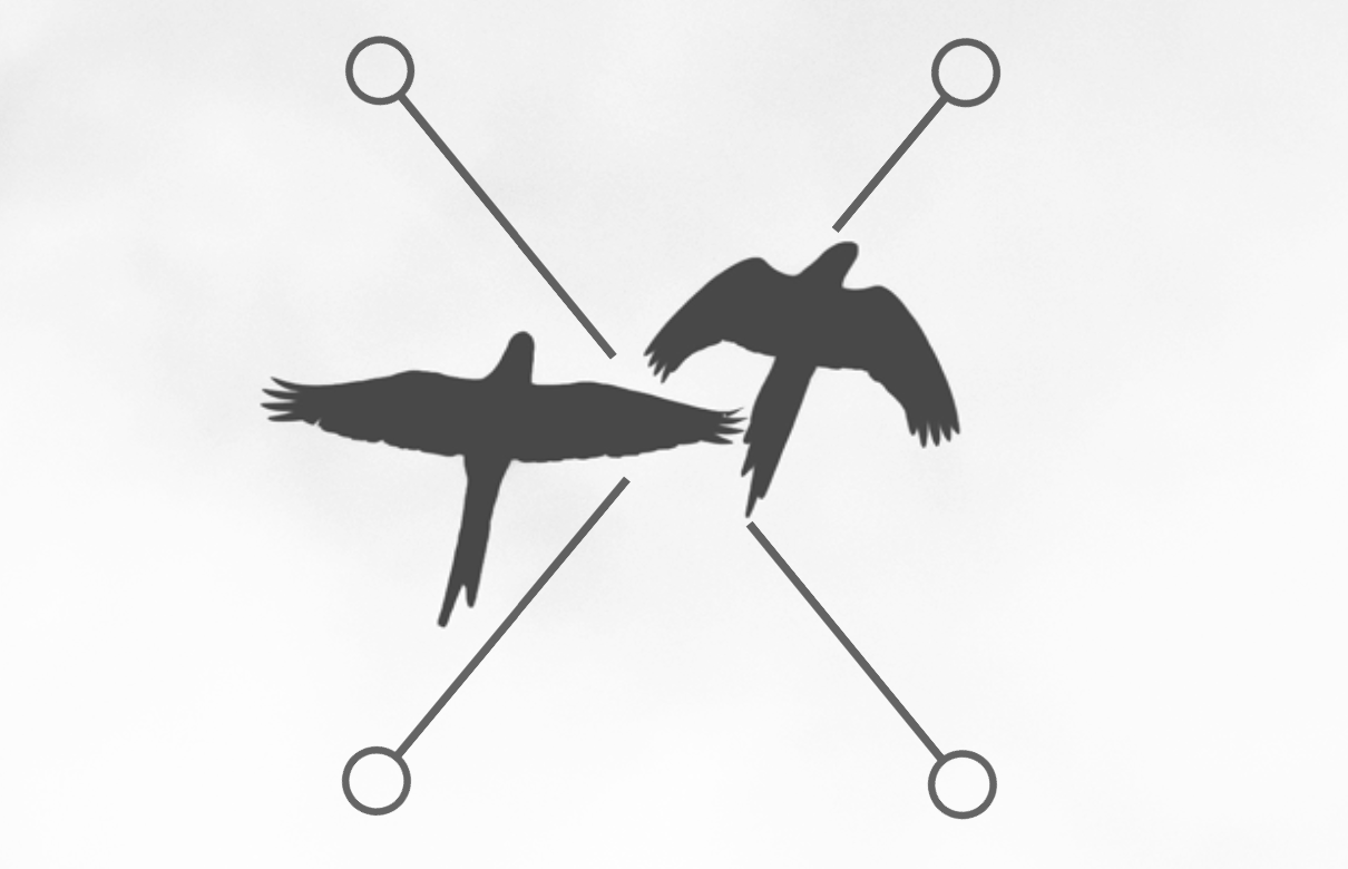 Cover image for What if you could fly away?