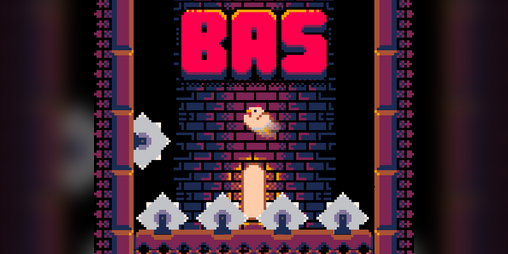 Cover image for B.A.S.