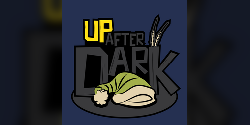 Cover image for Up After Dark