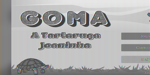 Cover image for Goma a Tartaruga Joaninha