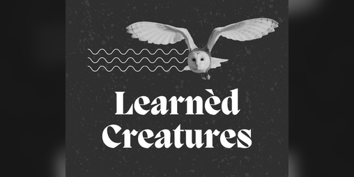 Cover image for Learnèd Creatures: A Mini-game for Tangled Blessings