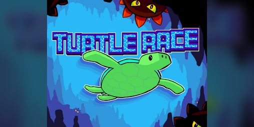 Cover image for Turtle Race