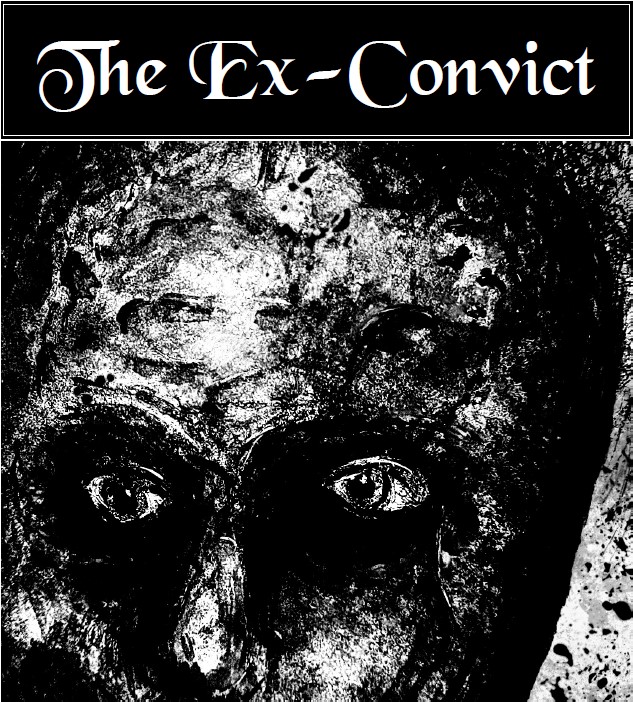 Cover image for The Ex-Convict