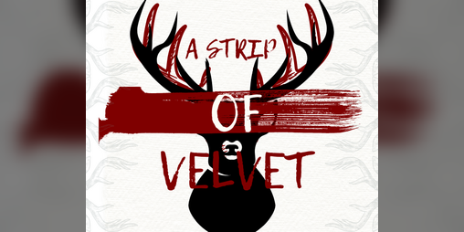 Cover image for A Strip of Velvet