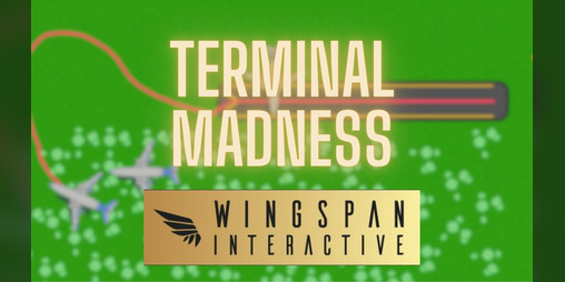 Cover image for Terminal Madness