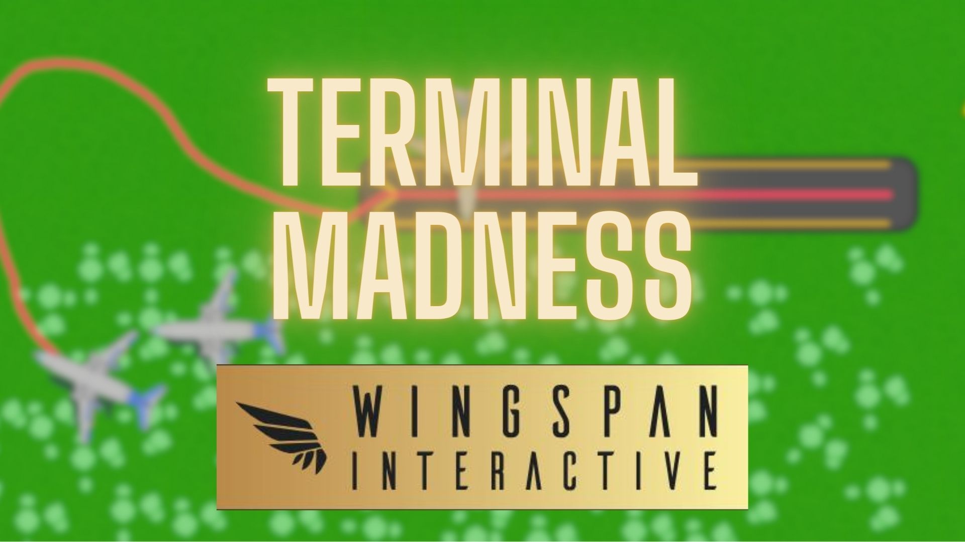Cover image for Terminal Madness