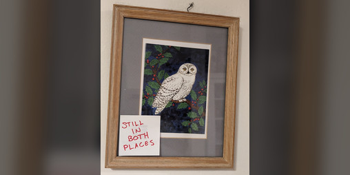 Cover image for Still In Both Places