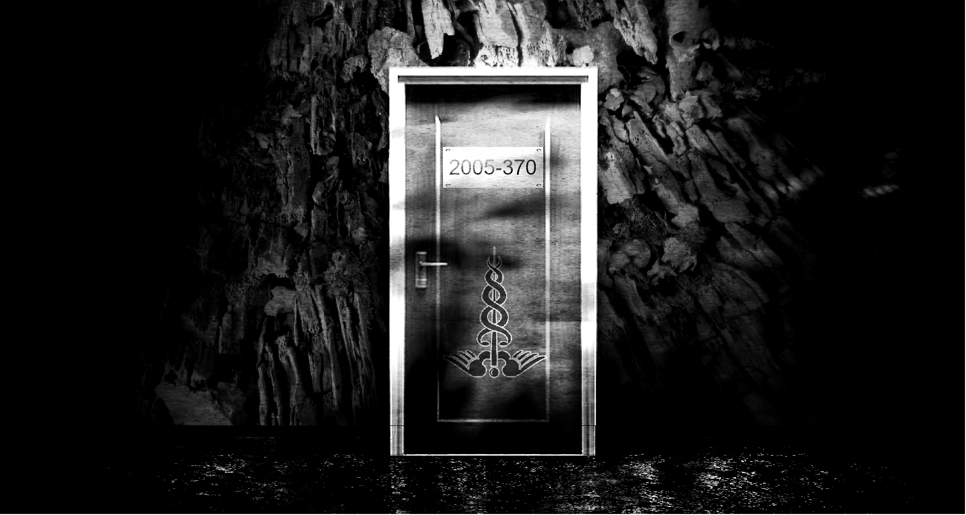Room 2005-370 cover