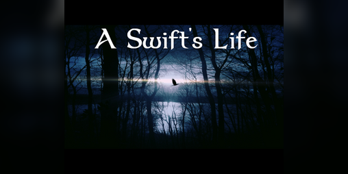 Cover image for A Swift's Life