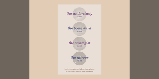 Cover image for the Understudy, the Bowerbird, the Strategist, and the Mirror