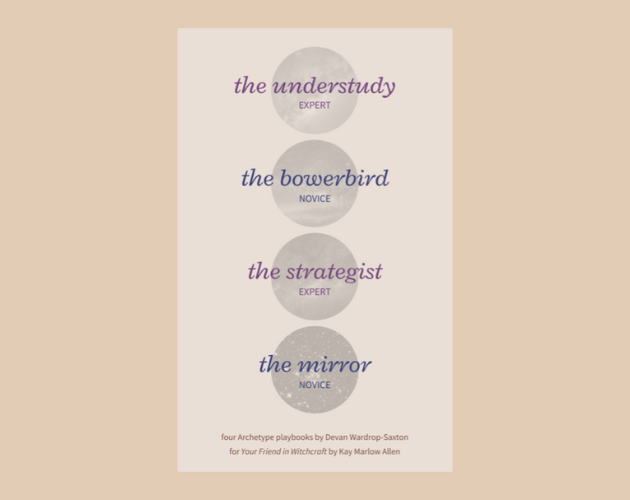 Cover image for the Understudy, the Bowerbird, the Strategist, and the Mirror