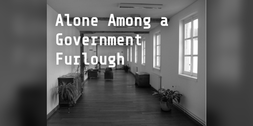 Cover image for Alone Among a Government Furlough