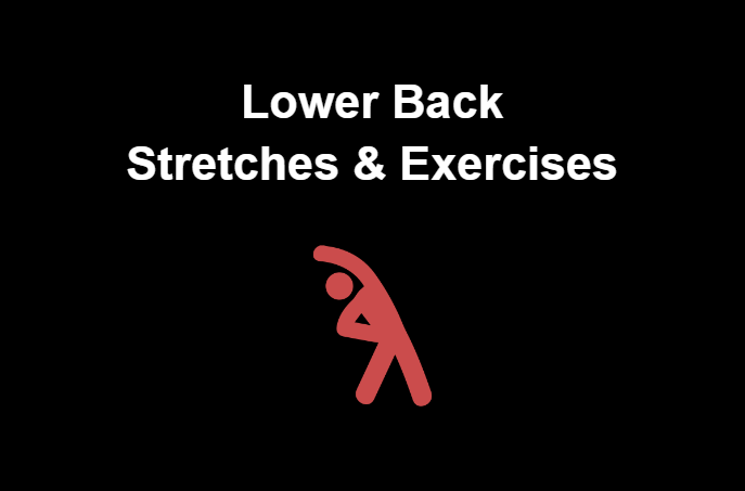 Cover image for Lower Back Stretches & Exercises