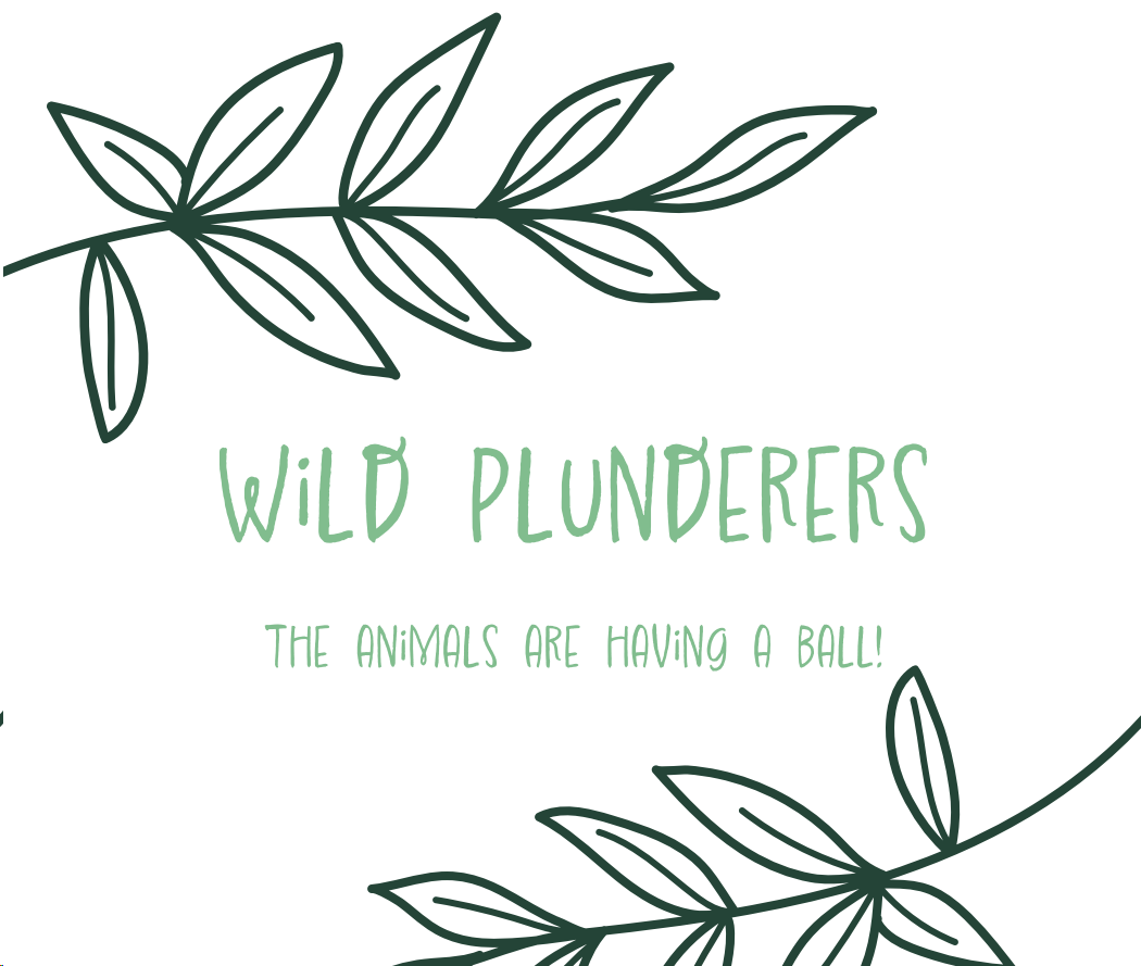 wild-plunderers-by-a-luluzinha