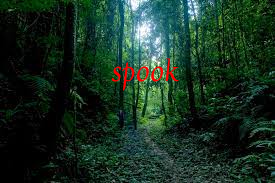 Spooky Forest