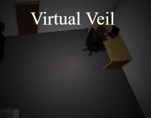 Virtual Veil