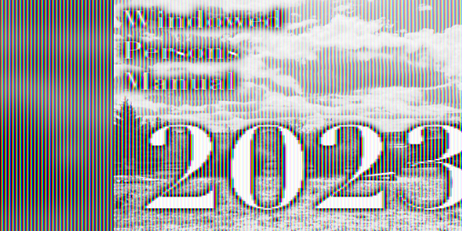 Cover image for Windowed Persons Manual 2023